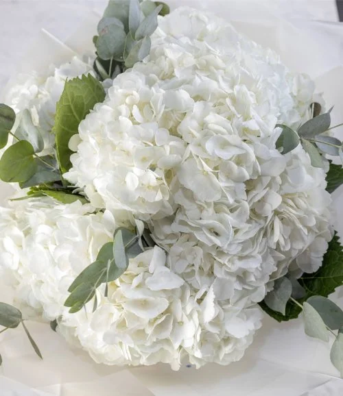 باقة زهور الكوبية البيضاء