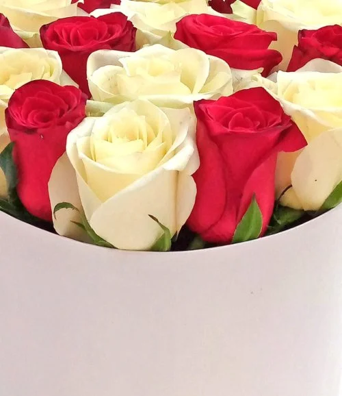 Red and White Roses in a Round Box