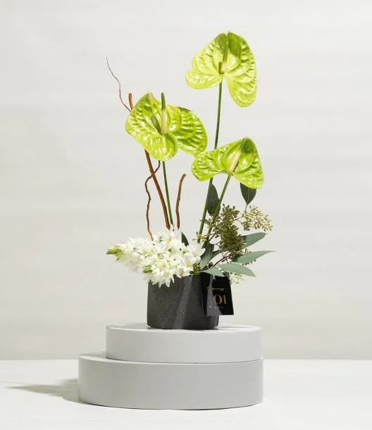 Green Anthurium Beauty Flower Arrangement