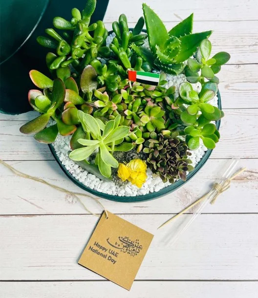 Lush Garden Box for UAE National Day by Wander Pot - Rich Green 