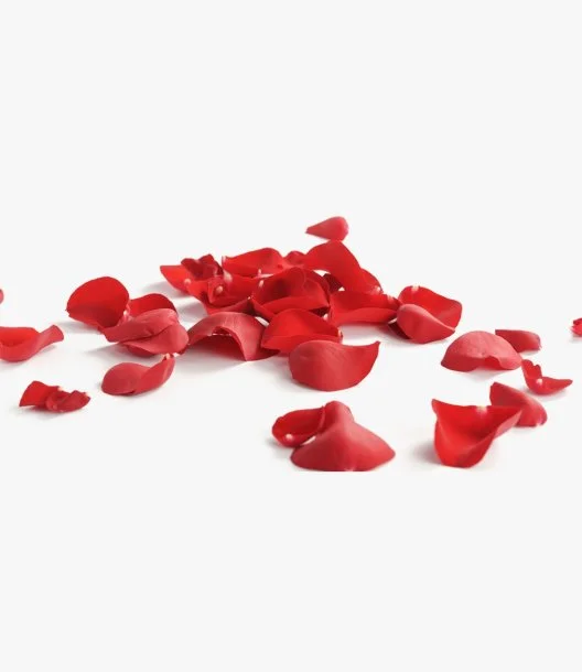 Red Rose Petals