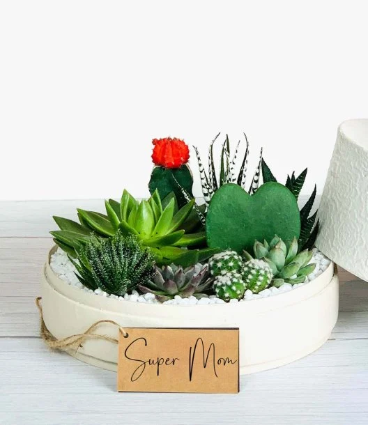 Super Mom Lush Garden Box - Warm White - by WANDER POT