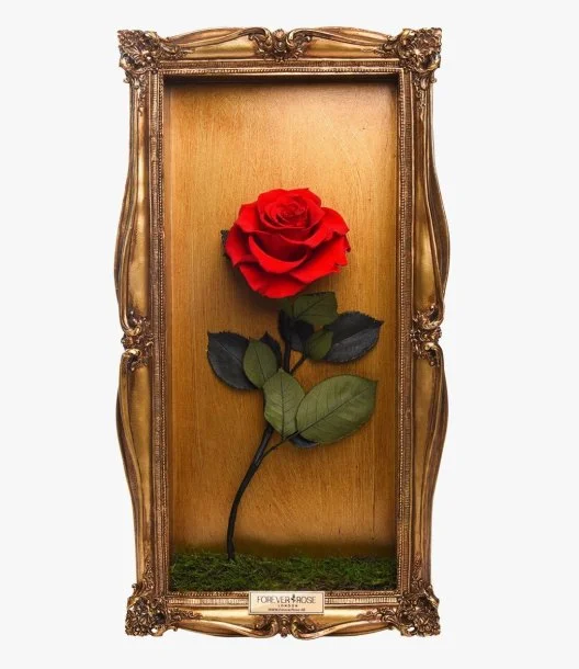 Wall Frame Gold Single Rose