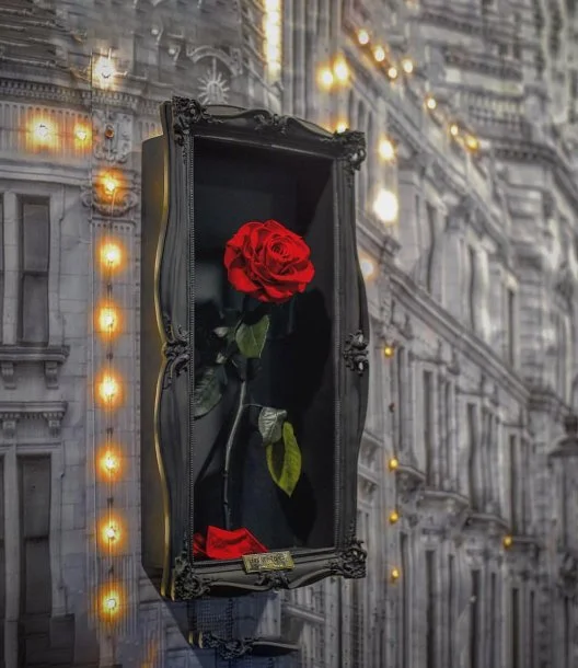 Wall Frame Single Rose by Forever Rose London