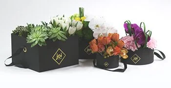 Luxury Flowers