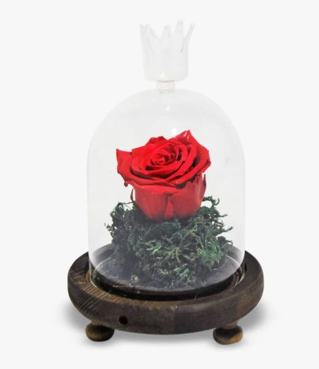 The Enchanted Rose 