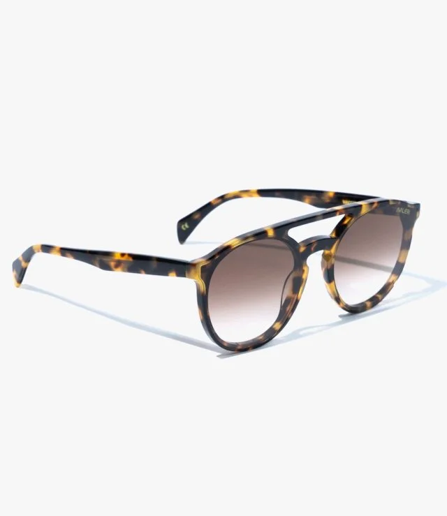 Avalieri Men's & Women's Brown Sunglasses