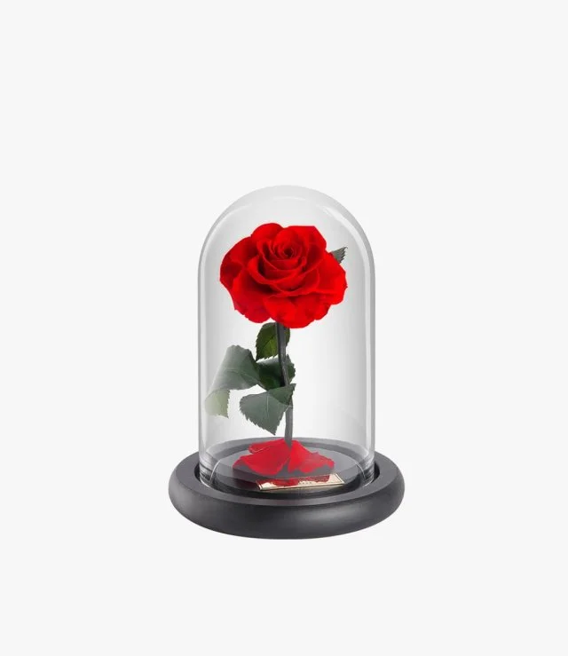 Bella Mini Me Red Rose By Forever Rose London