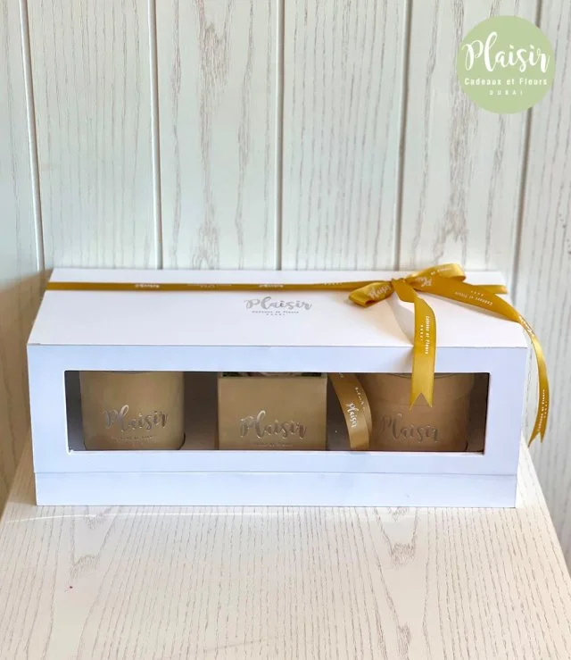 Classic Trio Gift Box - Tan by Plaisir