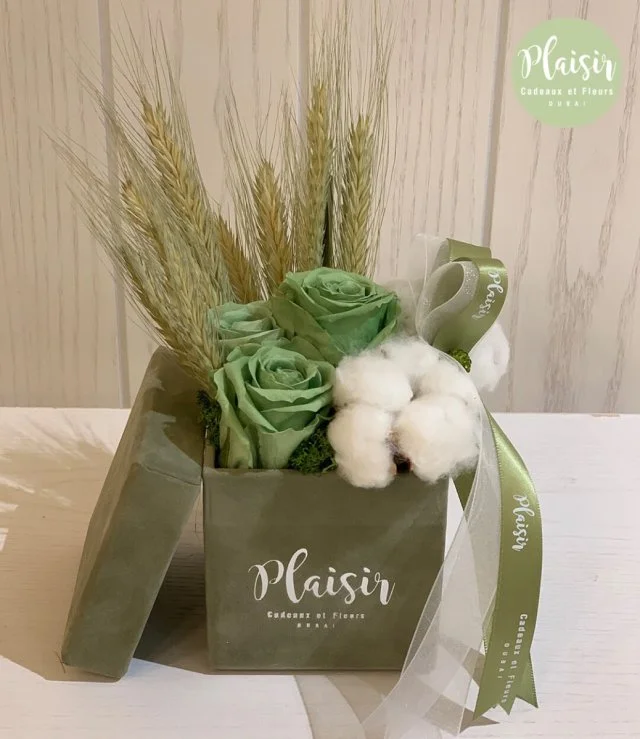 Triple Infinity Olive Rose Box By Plaisir