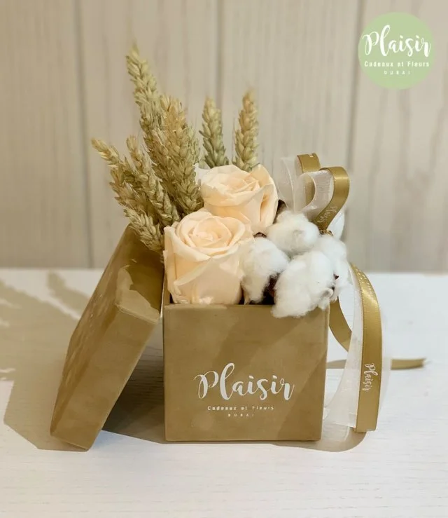 Double Infinity Peach Rose Box By Plaisir