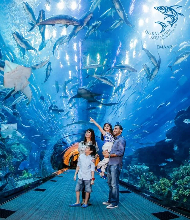 Dubai Aquarium & Underwater Zoo Explorer Experience