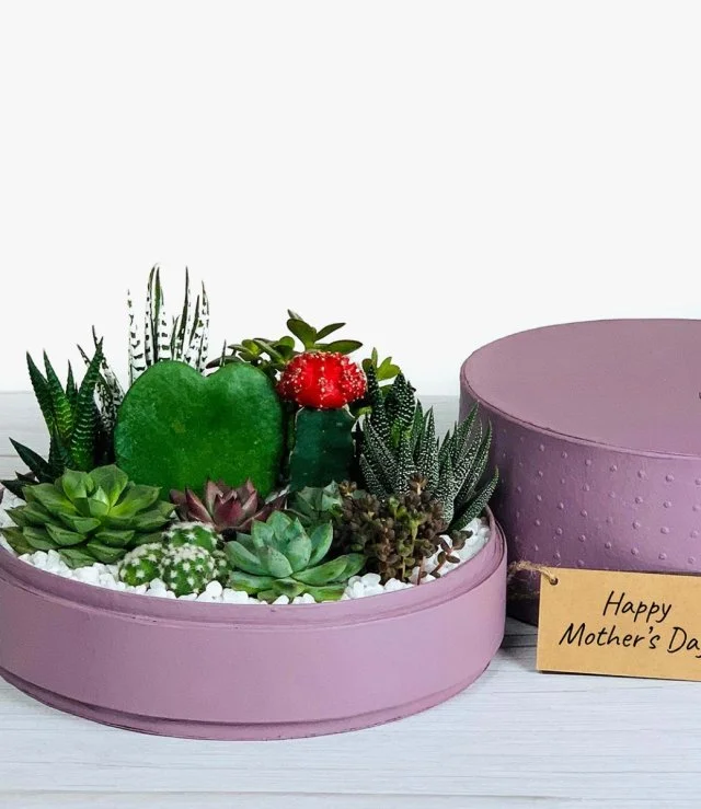 Happy Mothers Day Lush Garden Box - Dusty Rose - by WANDER POT
