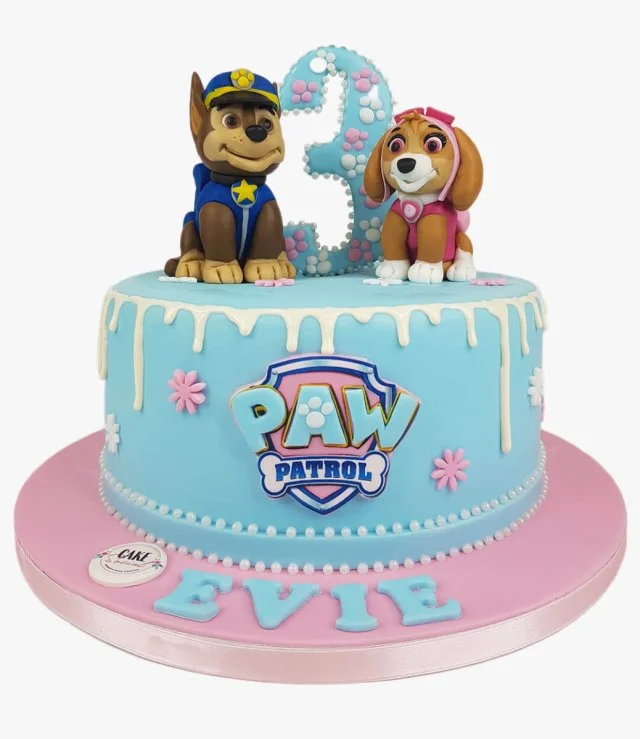 Light blue & Pink Paw Patrol Cake By Cake Social