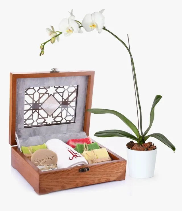 Luxurious Box of Organic Skincare Products & Orchid Plant Bundle 