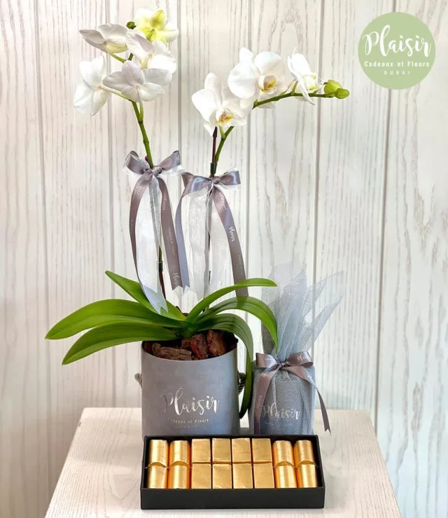 Mini Orchid Gift Set By Plaisir
