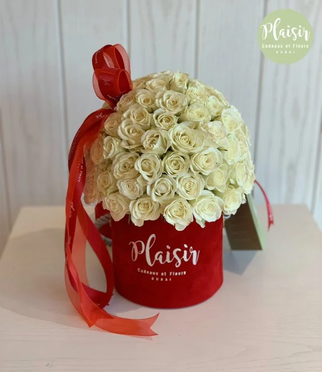Mini Red Dome With White Rose By Plaisir