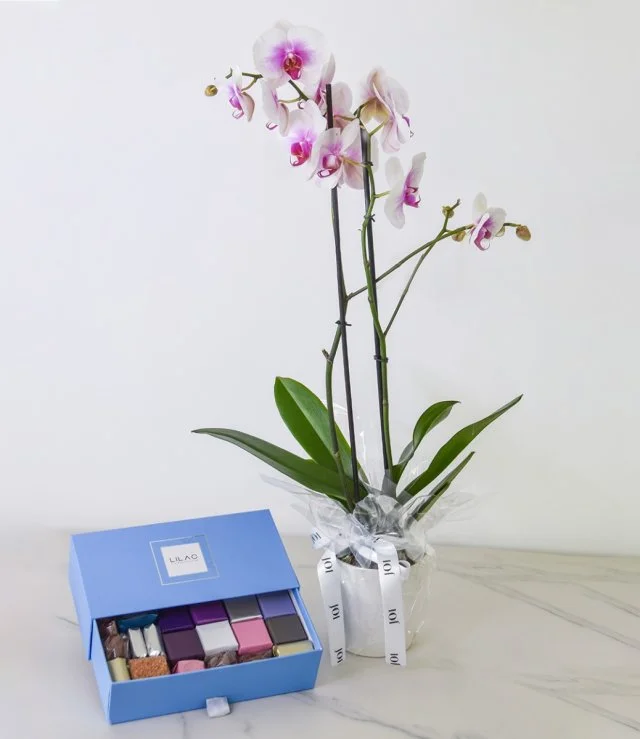 Mixed Chocolate Box and Orchids Bundle By Lilac