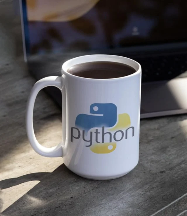 paython mug for programmers 