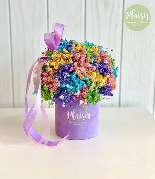 Petite 9×9 Rainbow Lilac By Plaisir