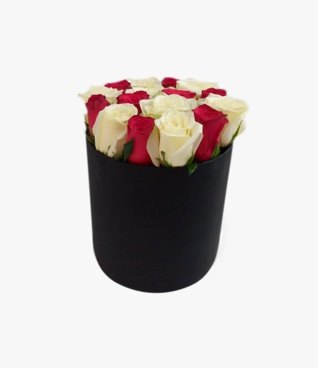 Red and White Roses in a Round Box