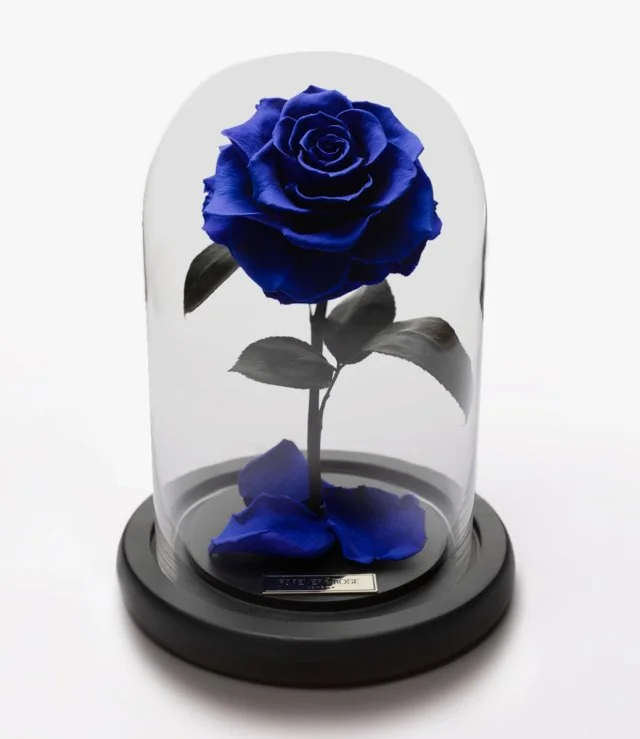Royal Blue Rose - Bella Mini 