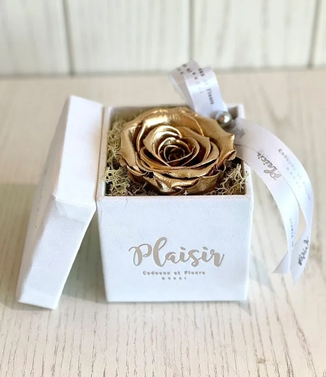 وردة إنفينيتي ذهبية في صندوق أبيض من بليزير