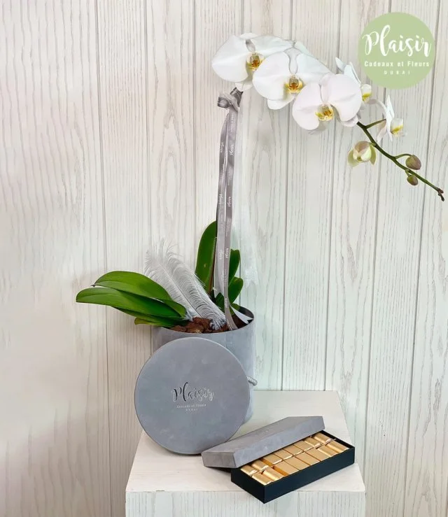 Single Orchid and Patchi Chocolate Giftset in Grey By Plaisir