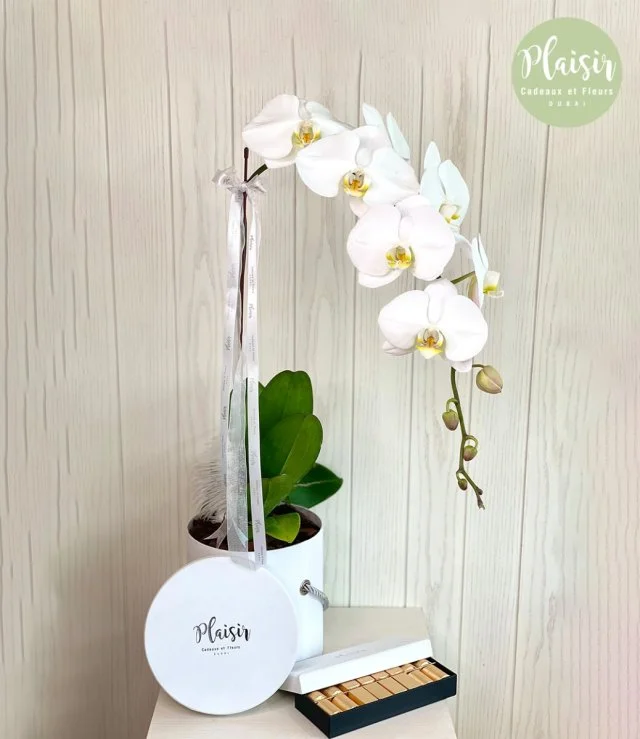 Single Orchid and Patchi Chocolate Giftset in White By Plaisir