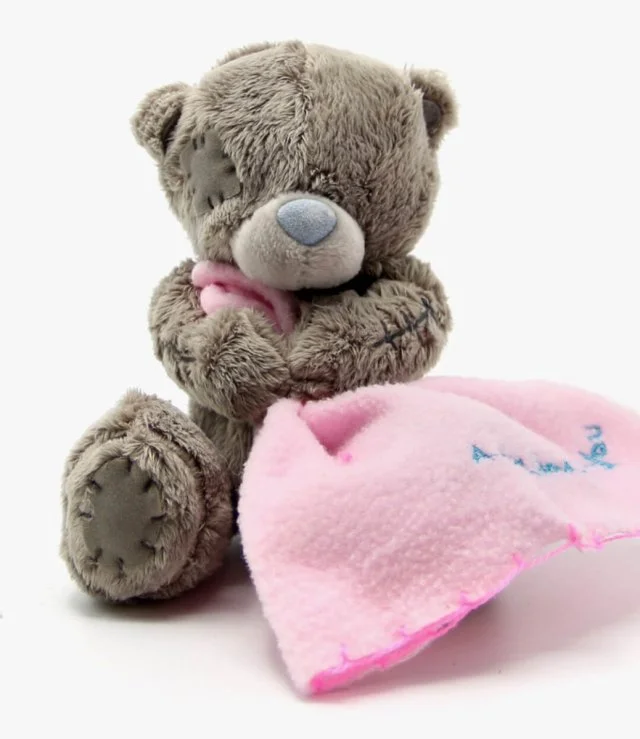 Small Teddy Bear With Pink Blanket