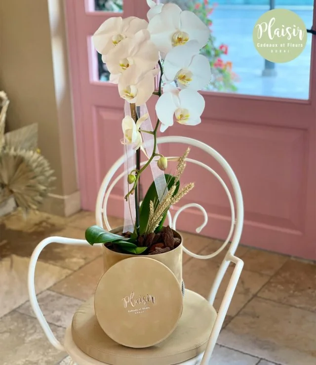 White Orchid Box - Tan By Plaisir