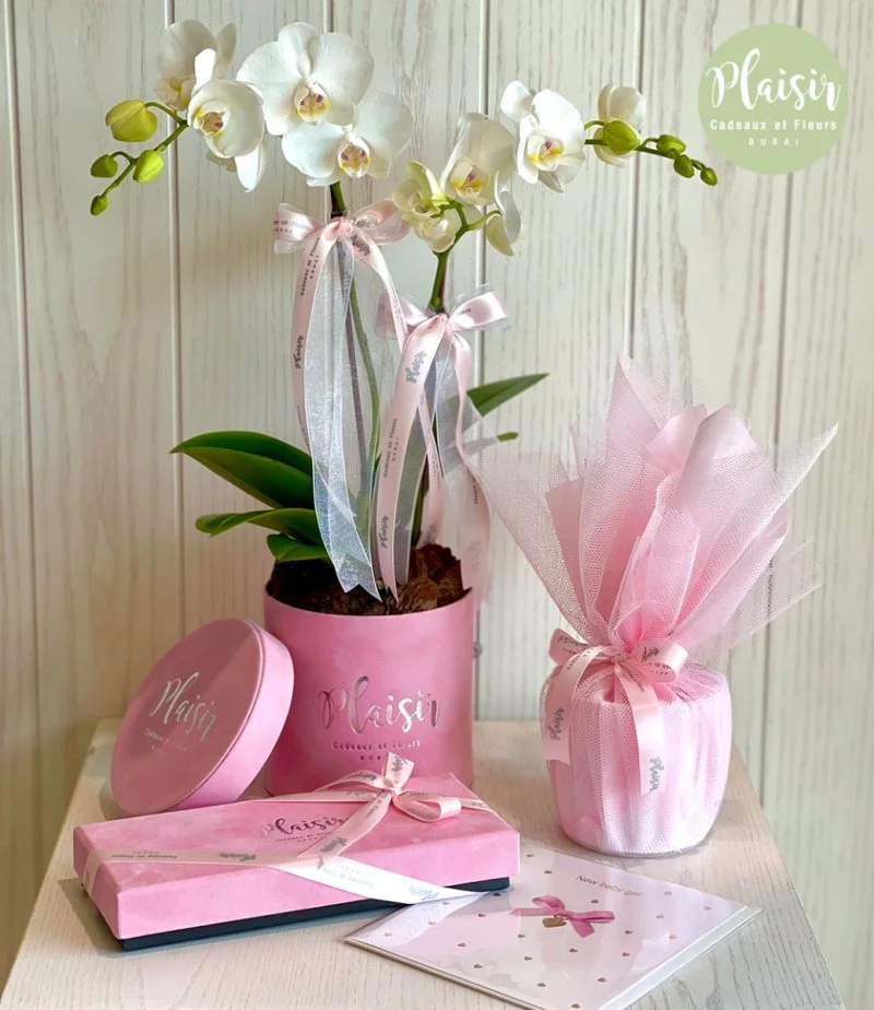 Baby Girl Giftset By Plaisir
