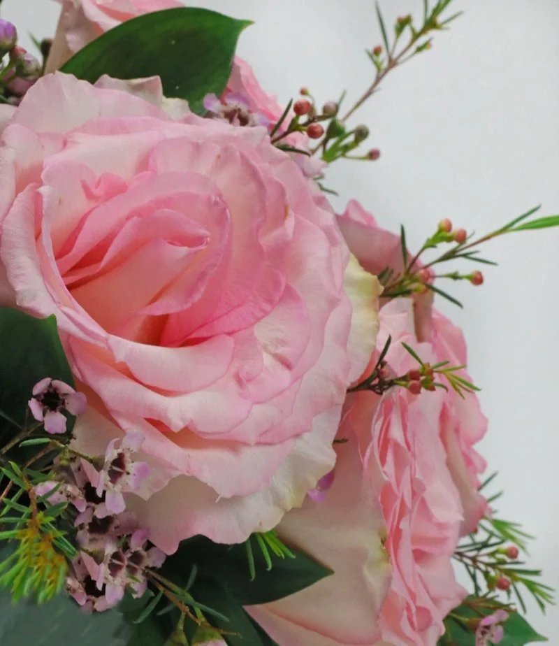 The Delicate Enchantment Roses Arrangement*