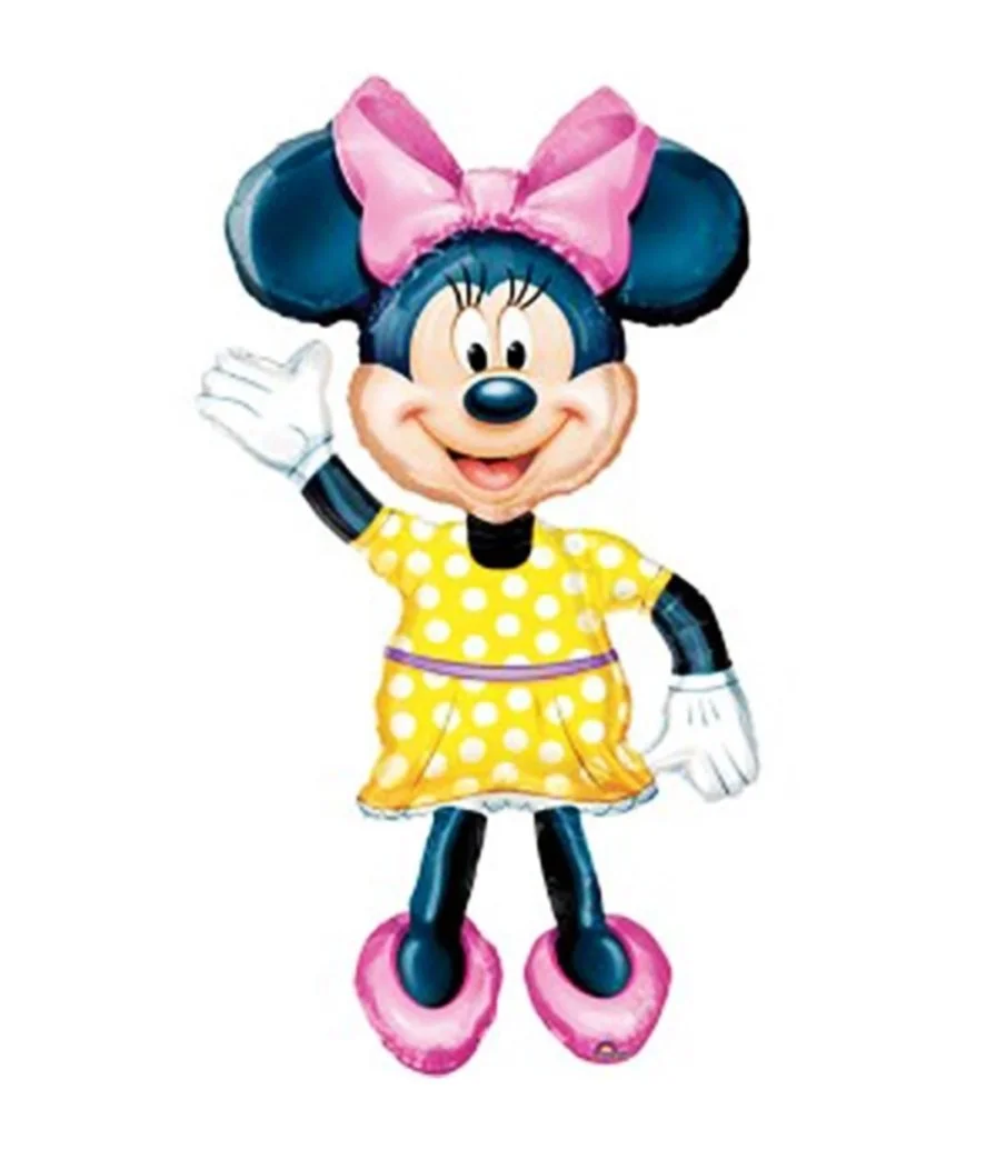 Minnie Mouse Fun 
