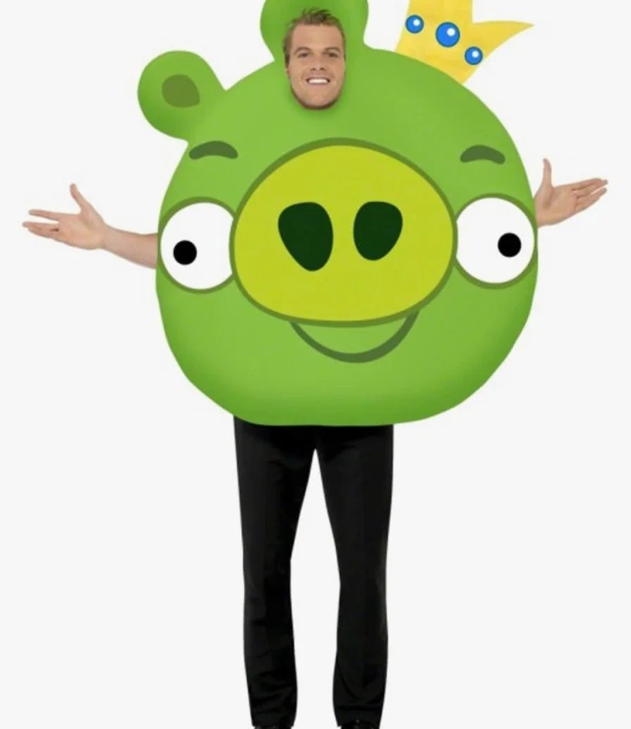 Angry Birds Costume, Green 