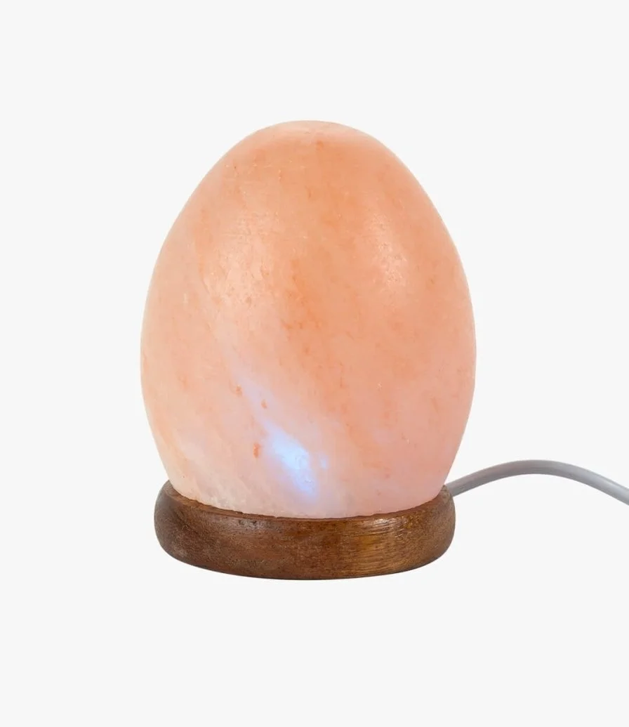 Egg-shaped Himalayan Salt Lamp 