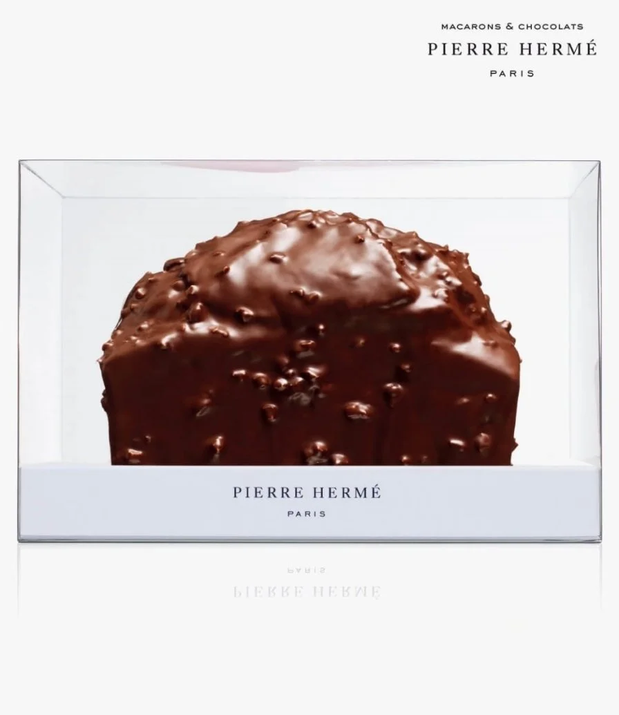 Chocolate Praline Cake by Pierre Hermé Paris