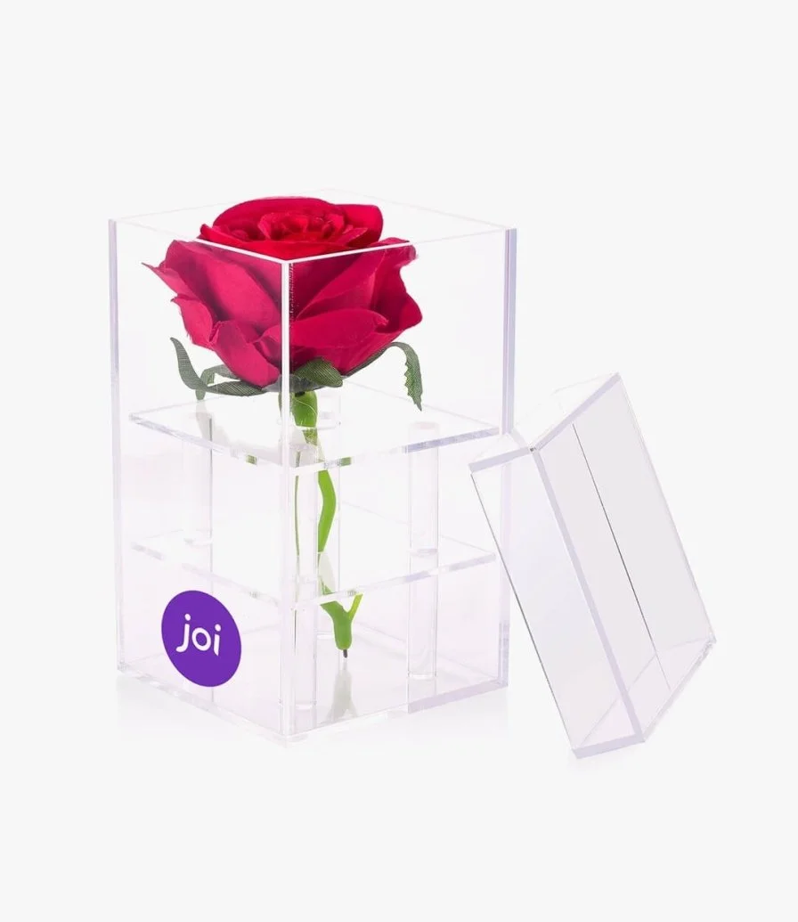 Rose in a Box 