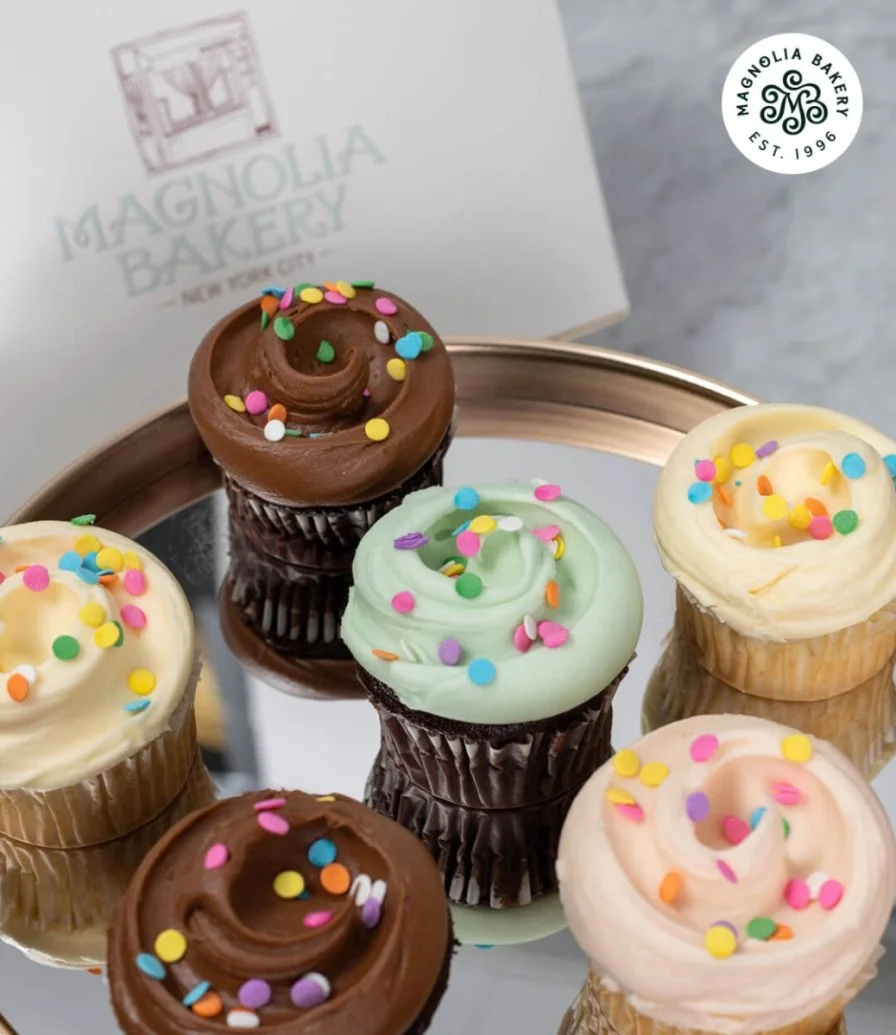 12 Chocolate and Vanilla Cupcakes by Magnolia Bakery 