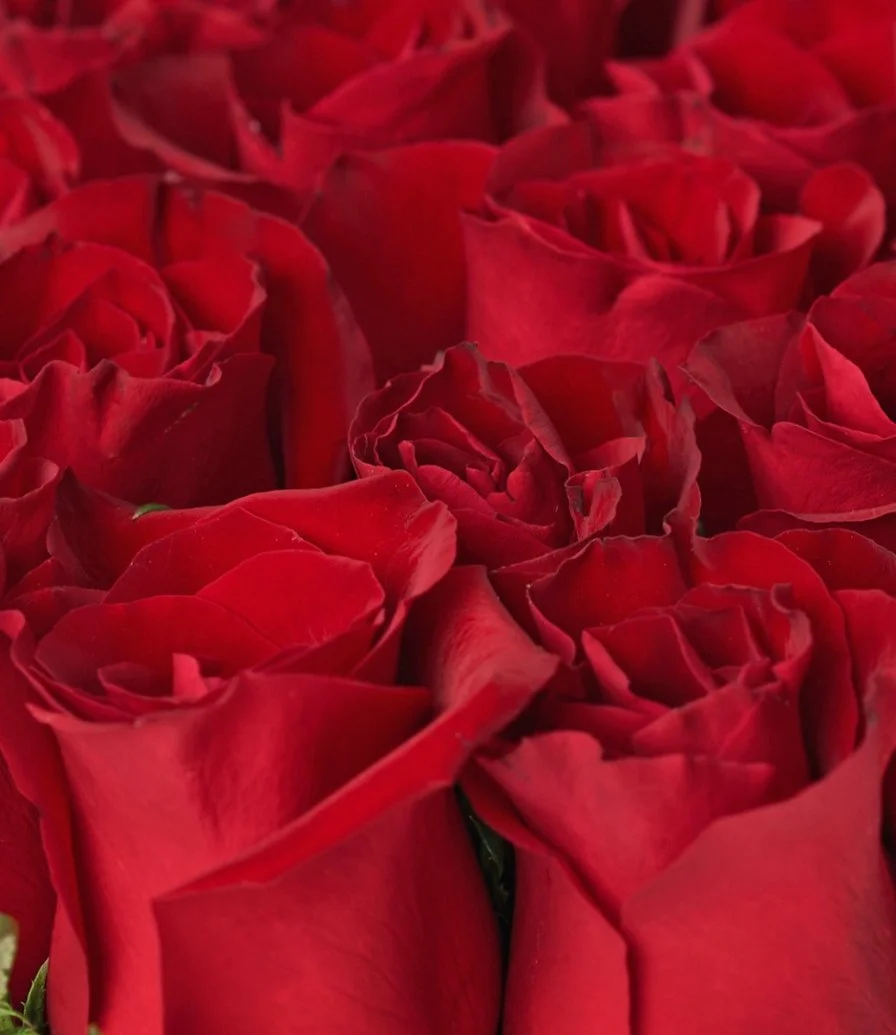 12 Red Roses Luxury Flower Box