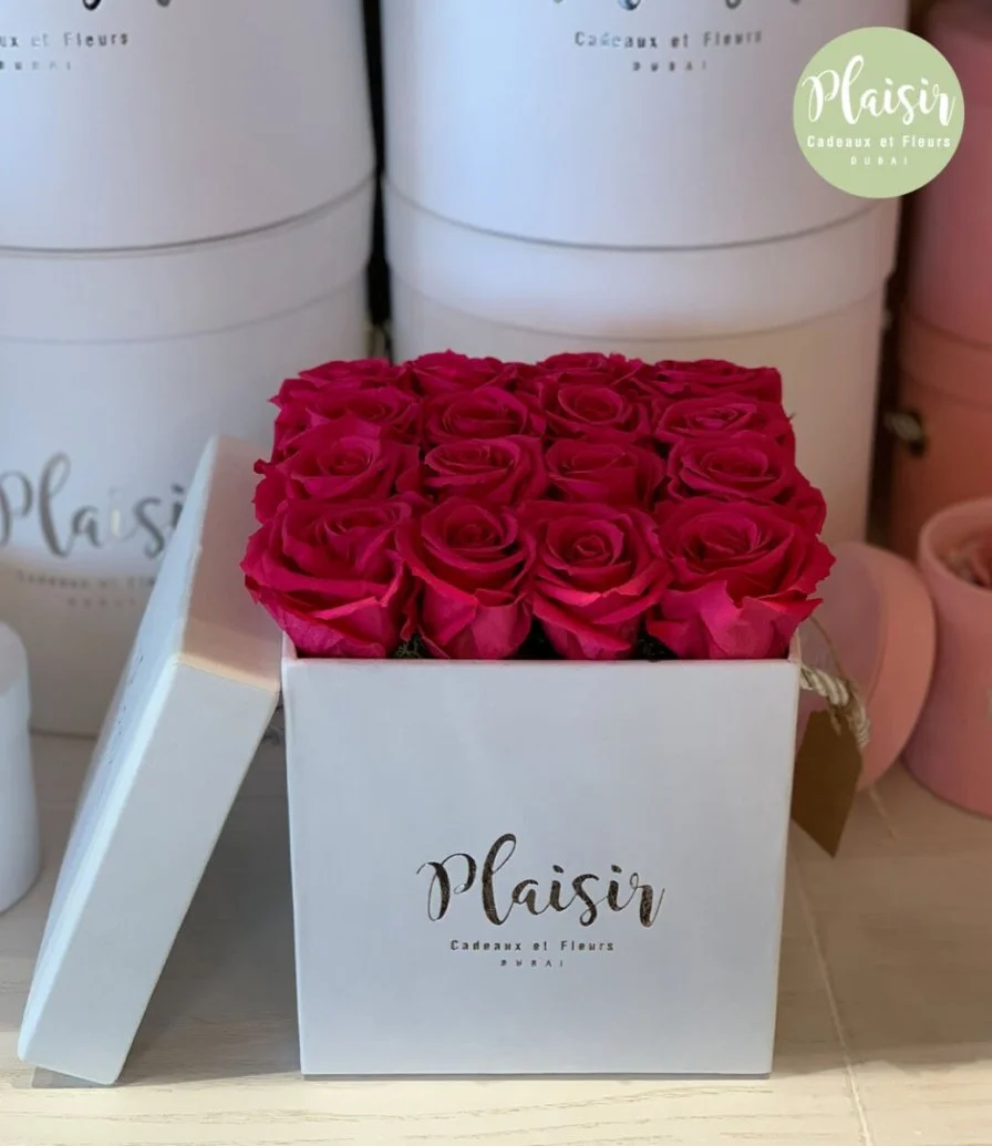 Fuschia Velvet Rose Box By Plaisir