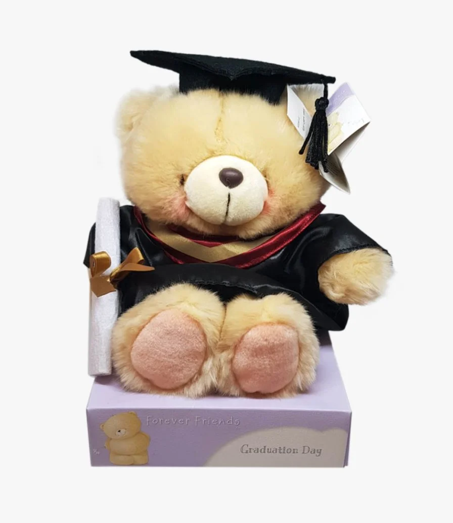 Hallmark Graduation Teddy Bear 2