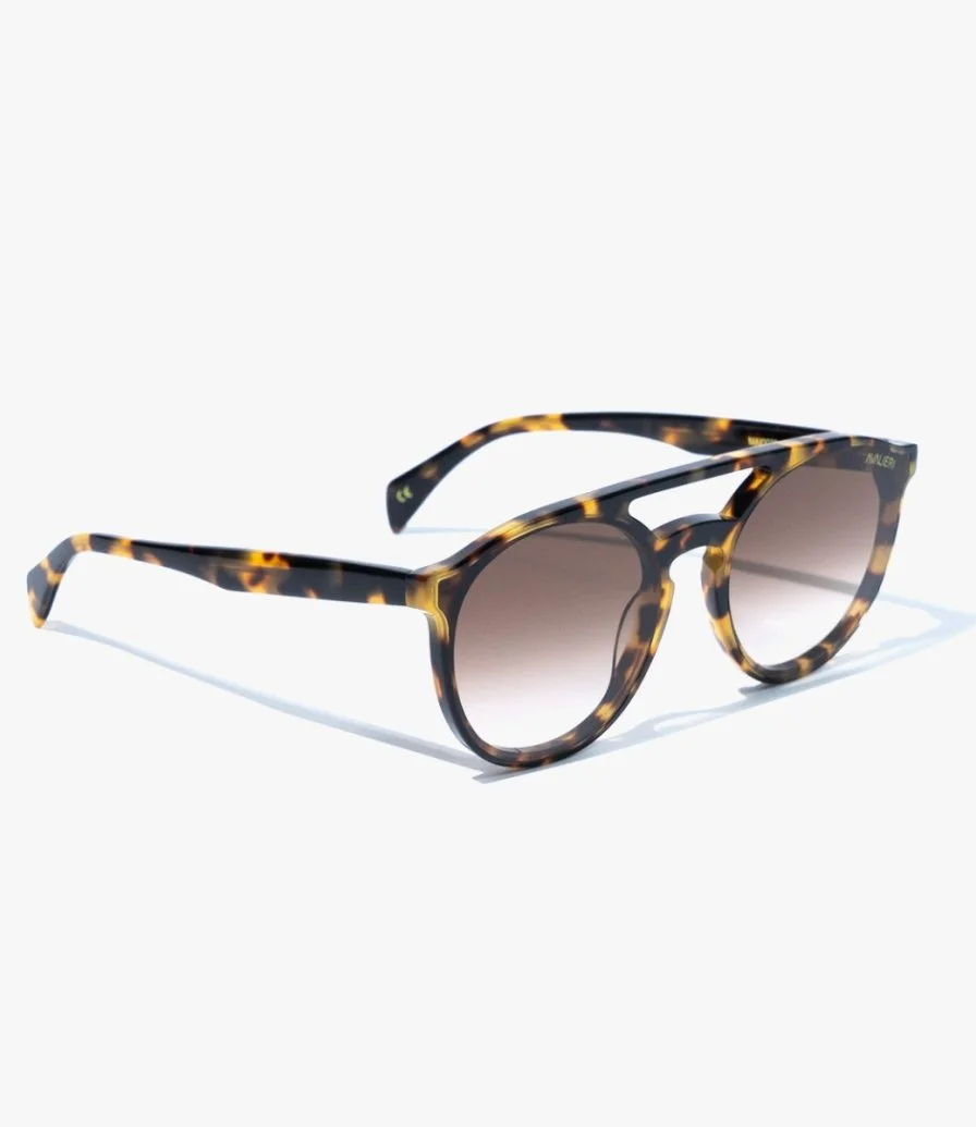 نظارات شمسية أفاليري للرجال والنساء باللون البني 