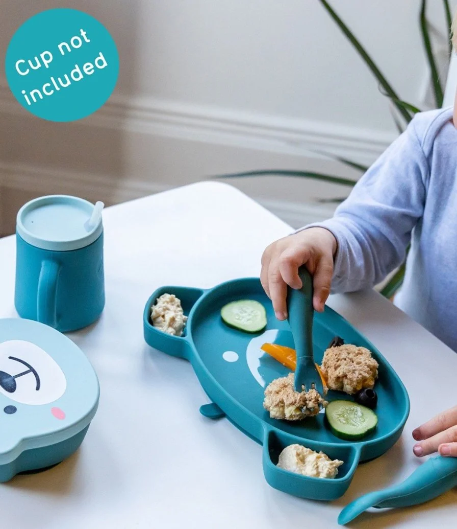 Baby Weaning Set - Teal 