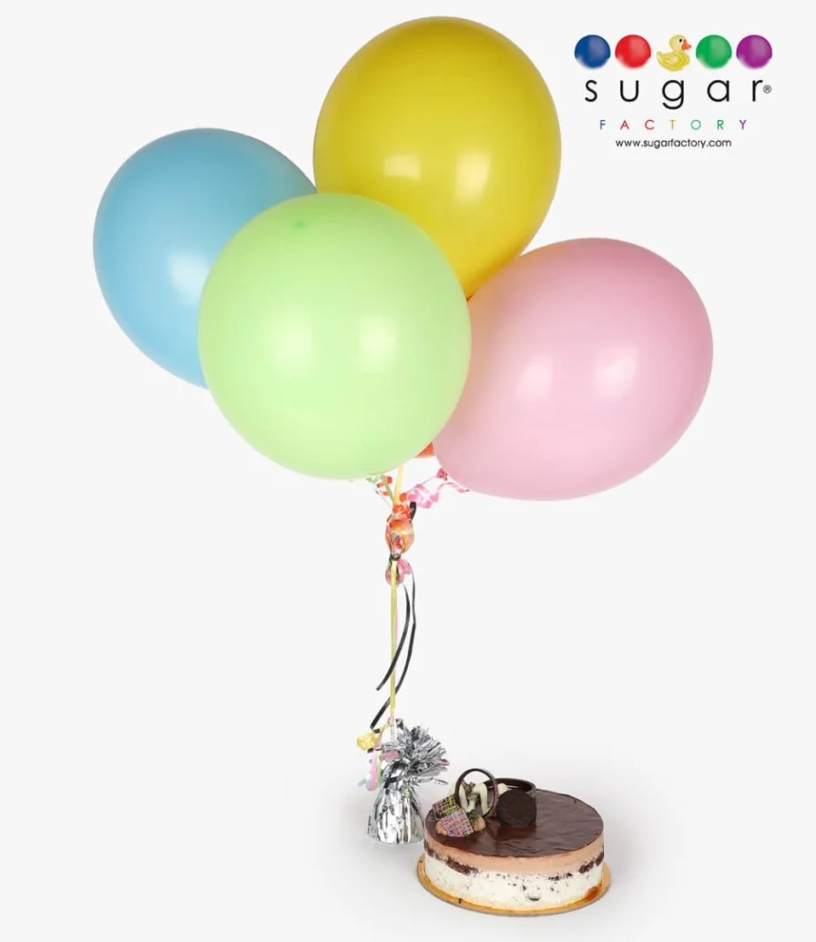Balloons & Cake Bundle by Bloomsbury's