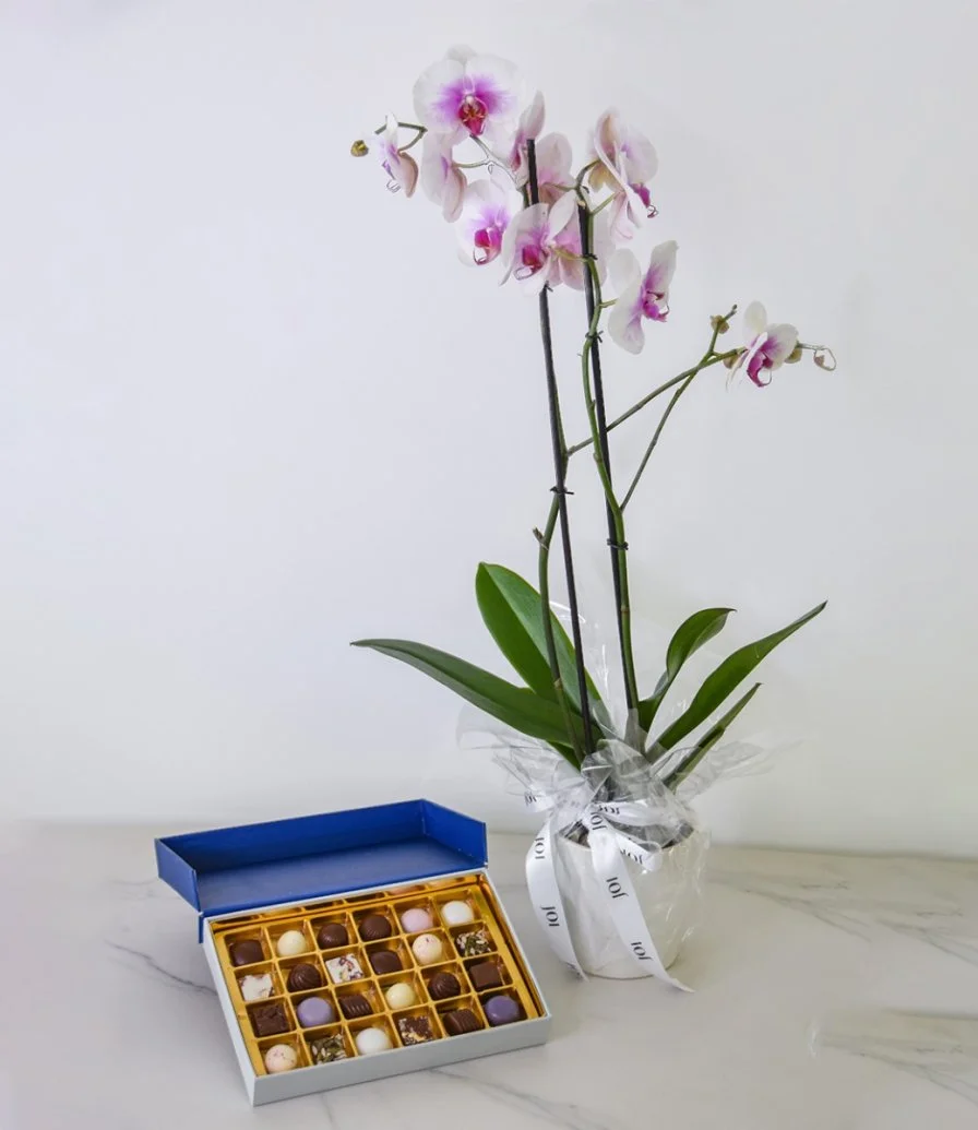 Bonbon Box  and Orchids Bundle by Lilac (24 pcs)