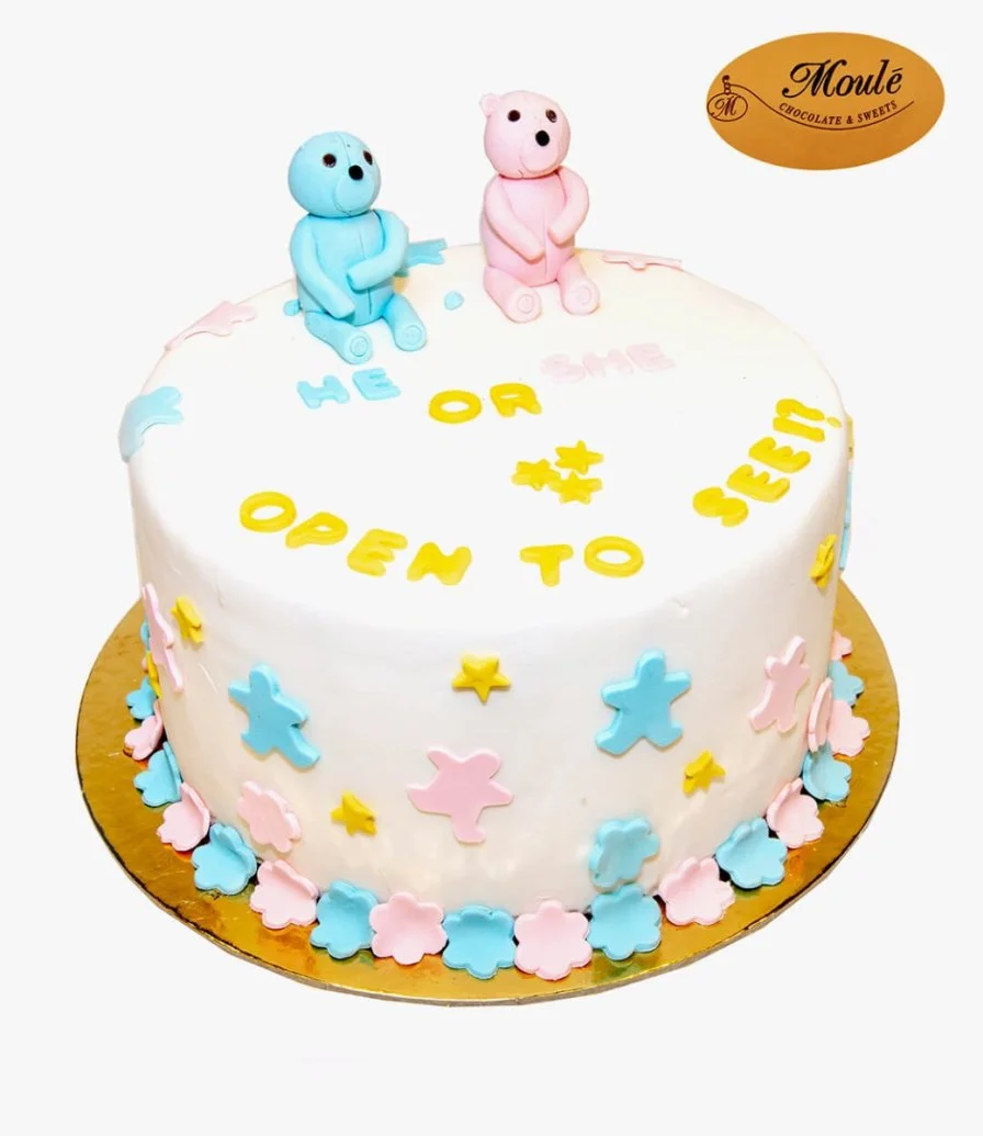 Gender Reveal Cake by Moule Cakes