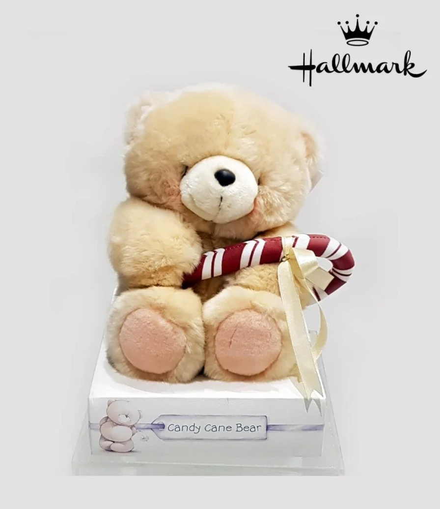 Small Candy Cane Teddy By Hallmark
