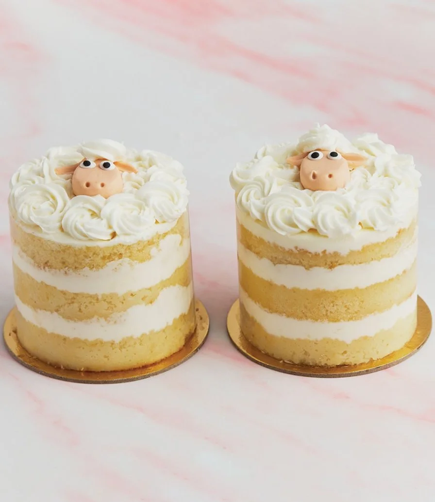 Curly Sheep Baby Cakes