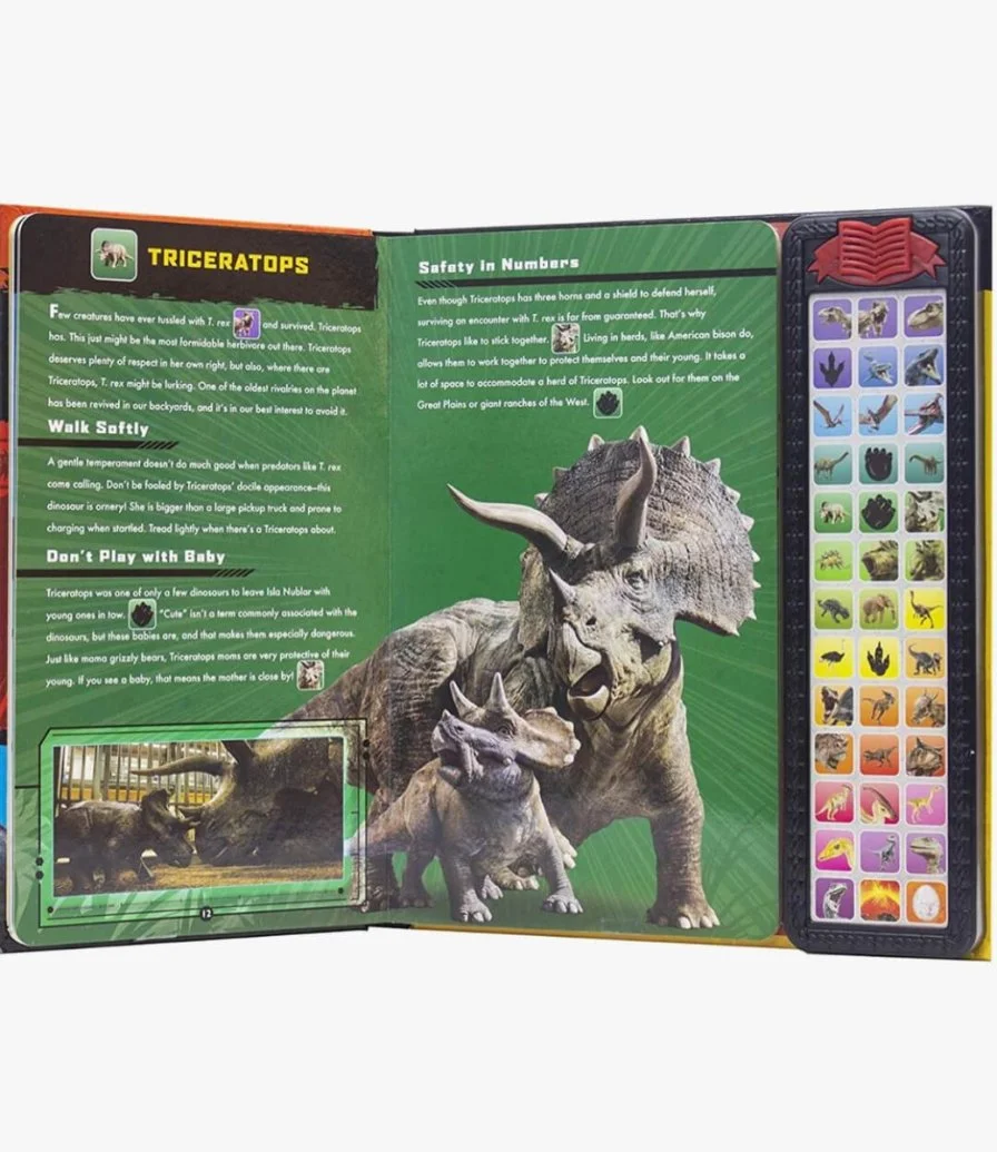 Dinosaurs in Your World Children's Book